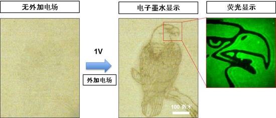 黄色网址大全