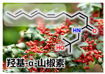 黄色网址大全