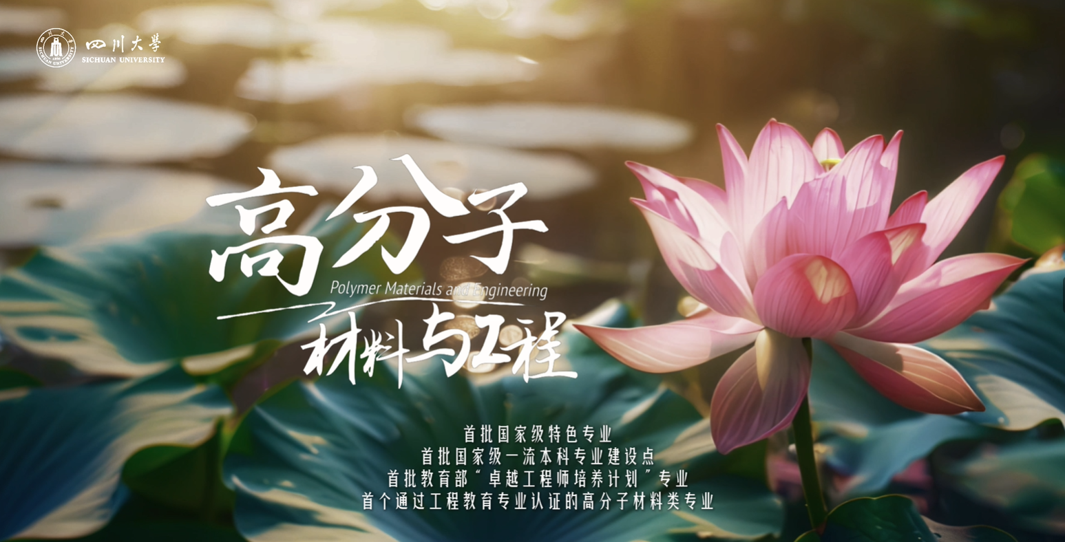 黄色网址大全