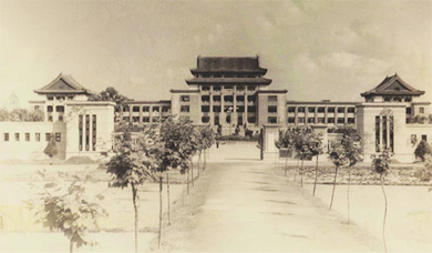 黄色网址大全