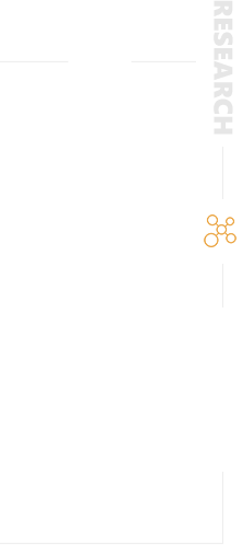 黄色网址大全
